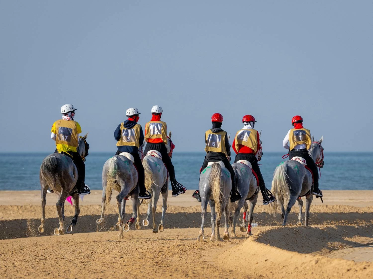 ناصر بن حمد يشهد ختام مهرجان كأس جلالة الملك المعظم لسباق القدرة