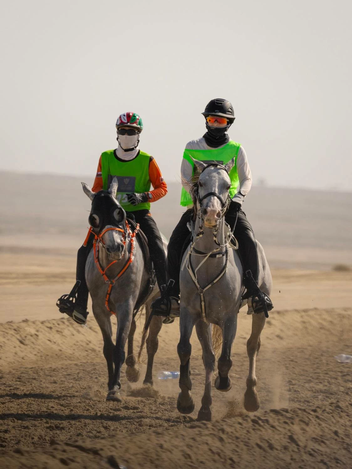 ناصر بن حمد يشهد ختام مهرجان كأس جلالة الملك المعظم لسباق القدرة