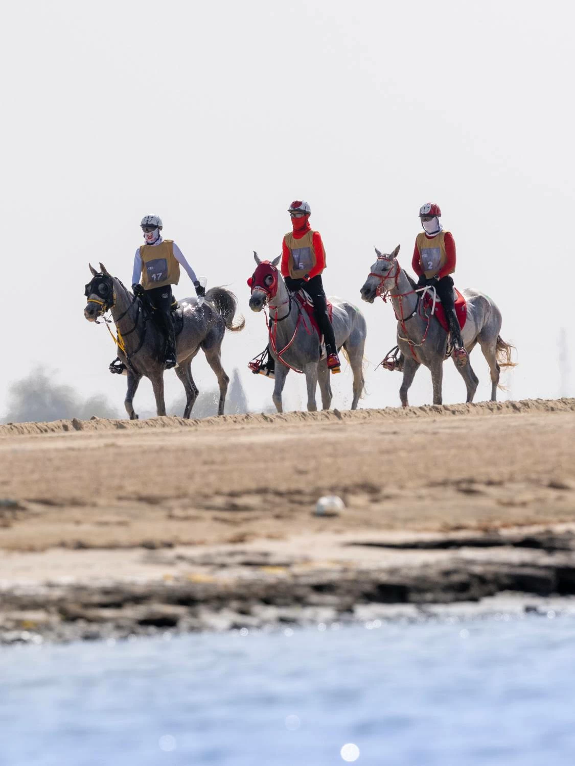 ناصر بن حمد يشهد ختام مهرجان كأس جلالة الملك المعظم لسباق القدرة