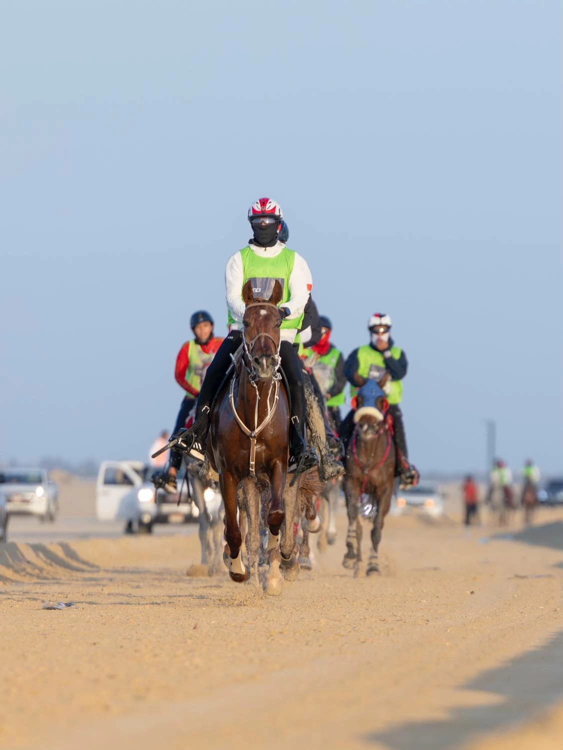 ناصر بن حمد يشهد ختام مهرجان كأس جلالة الملك المعظم لسباق القدرة