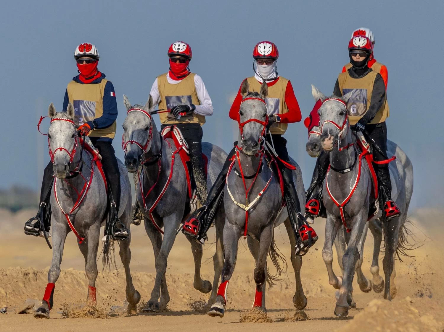 ناصر بن حمد يشهد ختام مهرجان كأس جلالة الملك المعظم لسباق القدرة