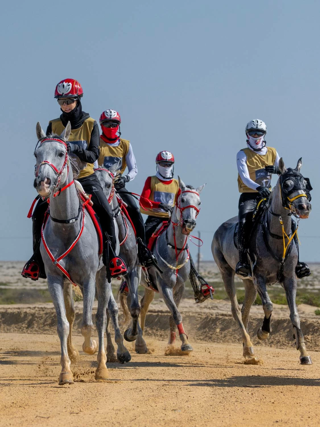 ناصر بن حمد يشهد ختام مهرجان كأس جلالة الملك المعظم لسباق القدرة