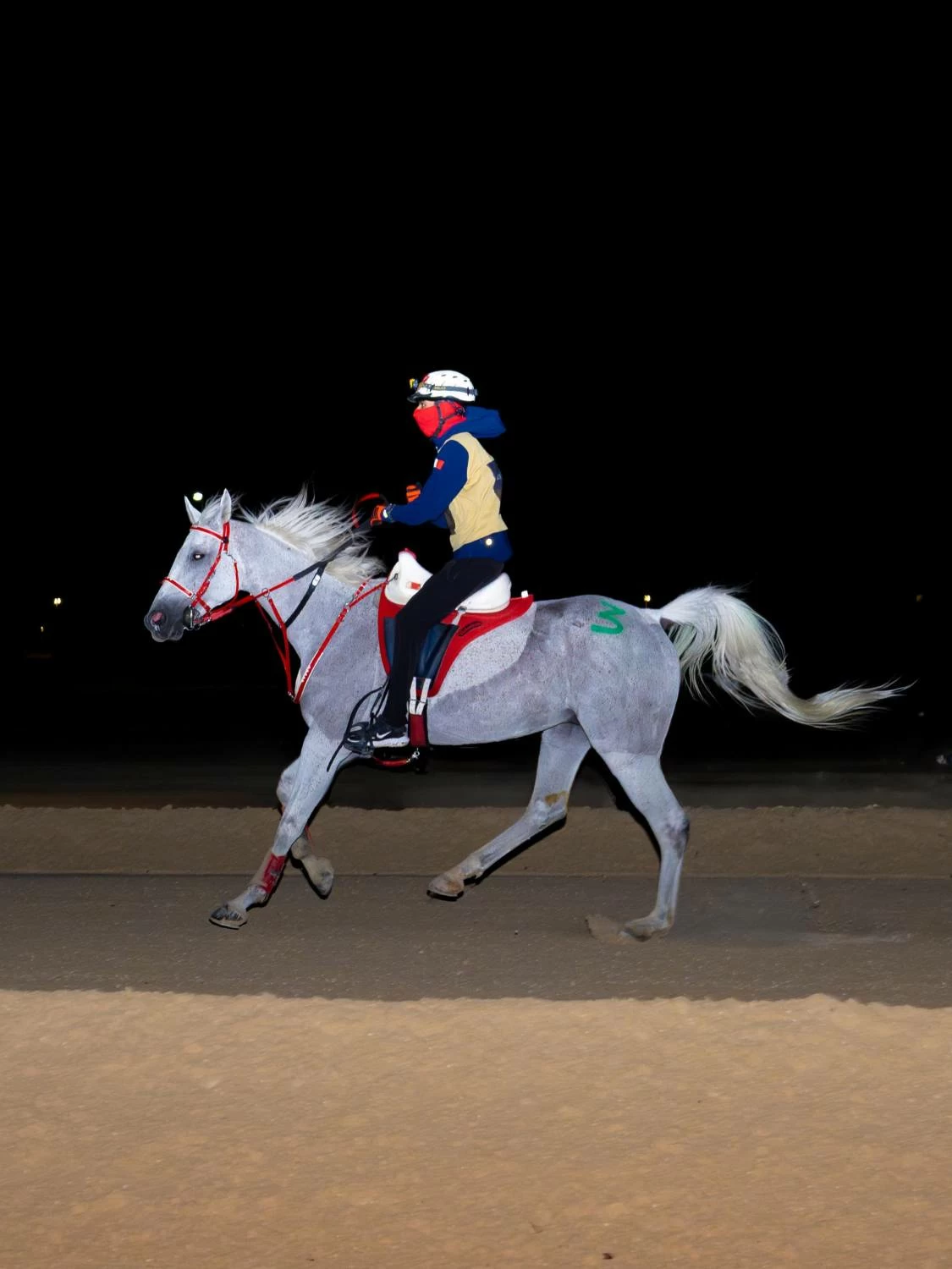 ناصر بن حمد يشهد ختام مهرجان كأس جلالة الملك المعظم لسباق القدرة