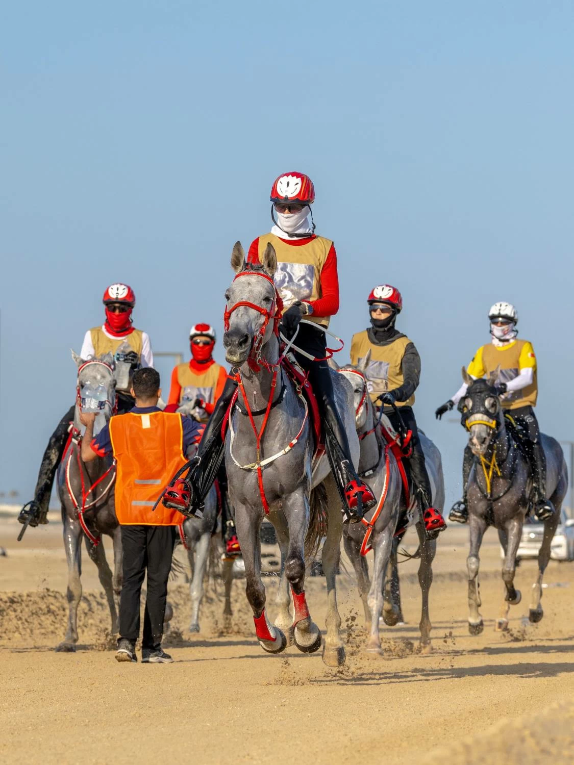 ناصر بن حمد يشهد ختام مهرجان كأس جلالة الملك المعظم لسباق القدرة
