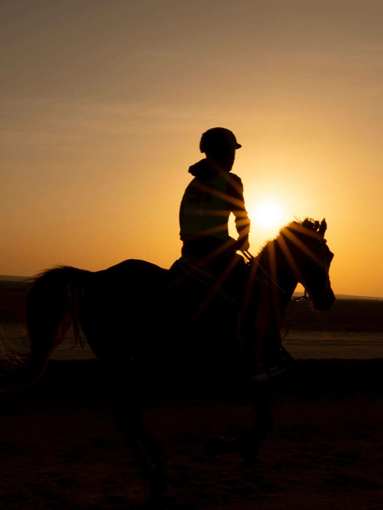 ناصر بن حمد يشهد ختام مهرجان كأس جلالة الملك المعظم لسباق القدرة