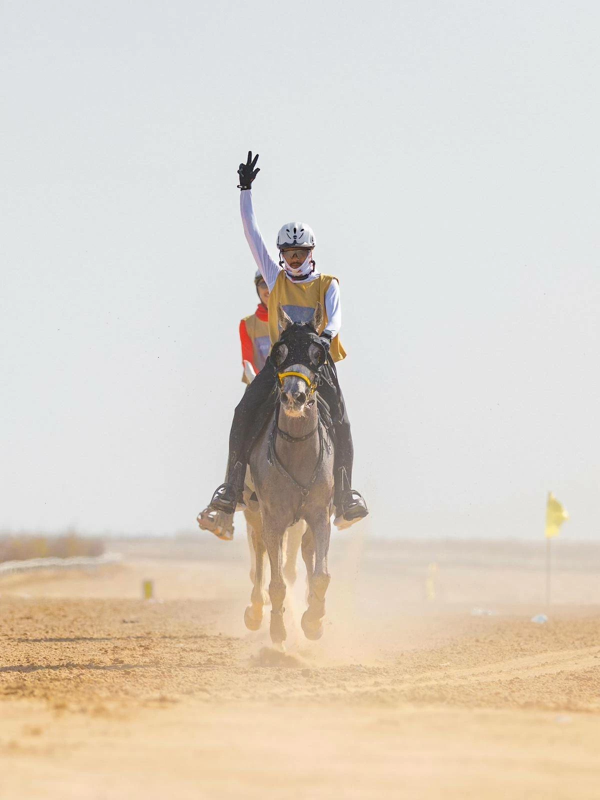 ناصر بن حمد يشهد ختام مهرجان كأس جلالة الملك المعظم لسباق القدرة