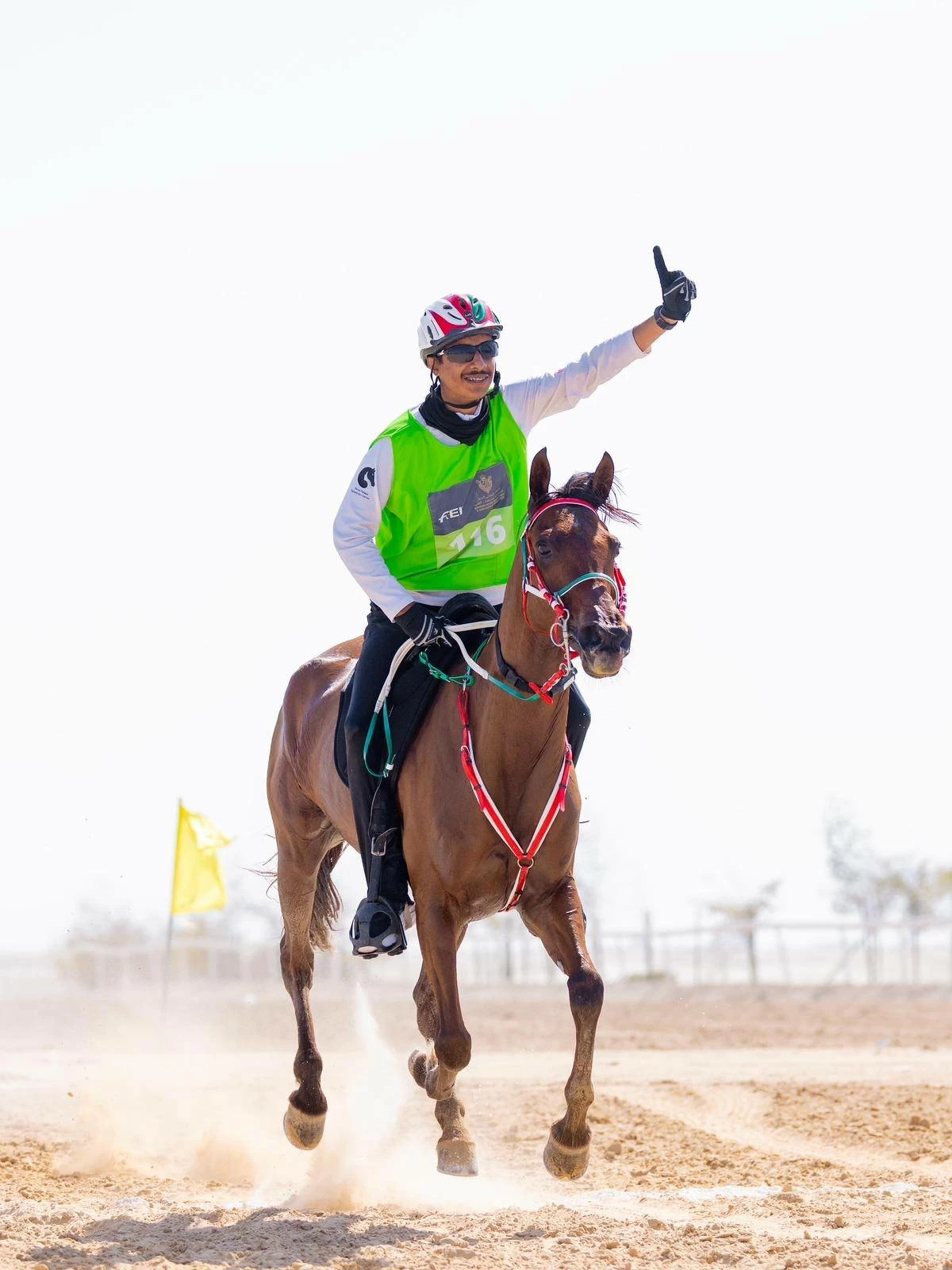 ناصر بن حمد يشهد ختام مهرجان كأس جلالة الملك المعظم لسباق القدرة