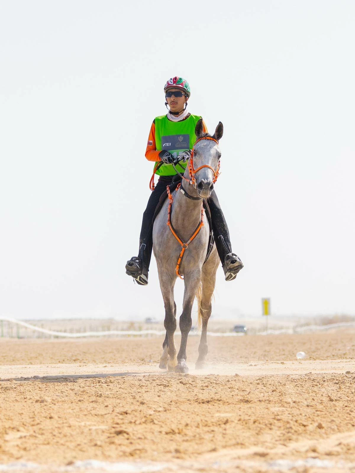ناصر بن حمد يشهد ختام مهرجان كأس جلالة الملك المعظم لسباق القدرة