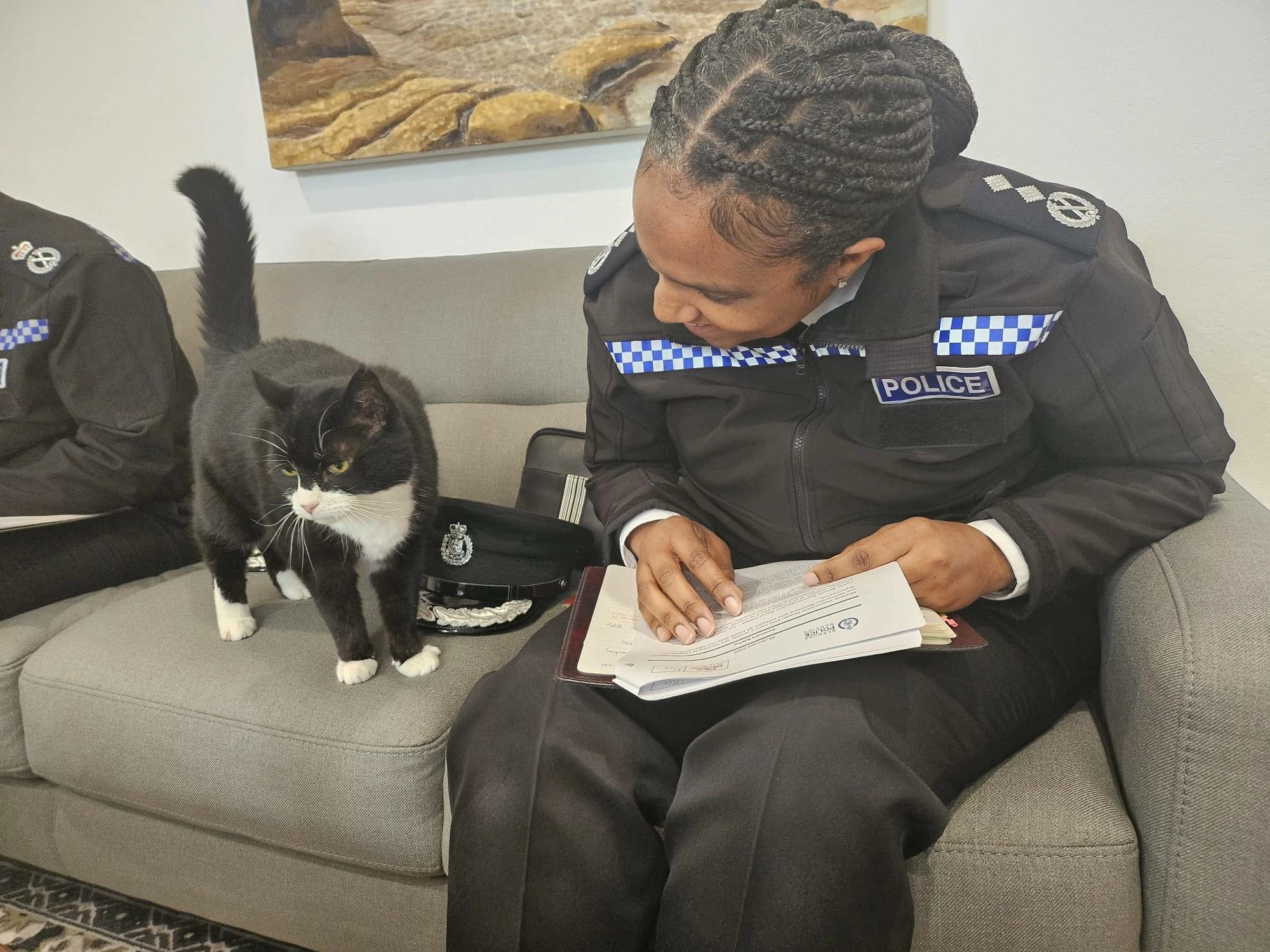 وفاة القط &laquo;بالمرستون&raquo; كبير صائدي الفئران السابق في &laquo;الخارجية البريطانية&raquo;