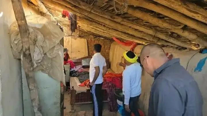 6 قتلى بينهم رضيع.. هجوم قطيع فيلة يخلف الموت والدمار في الهند