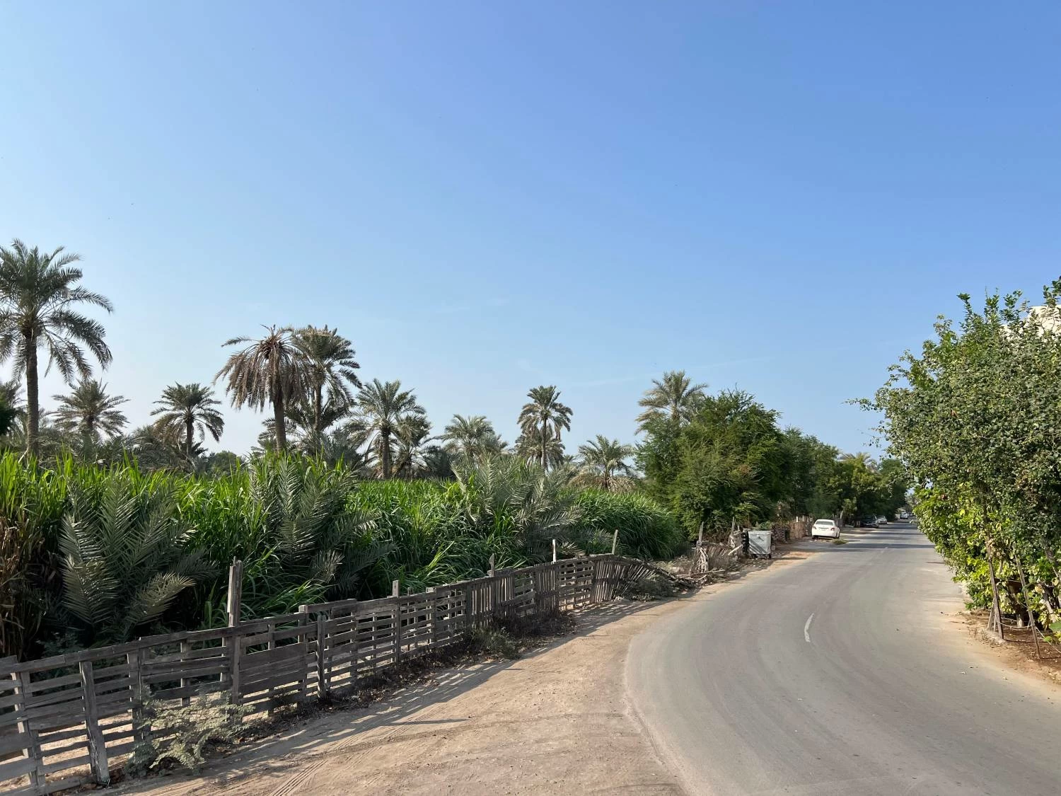 تكريم أربع قرى بحرينية ضمن مبادرة رئيس منظمة الأغذية والزراعة للأمم المتحدة لتكريم القرى الزراعية