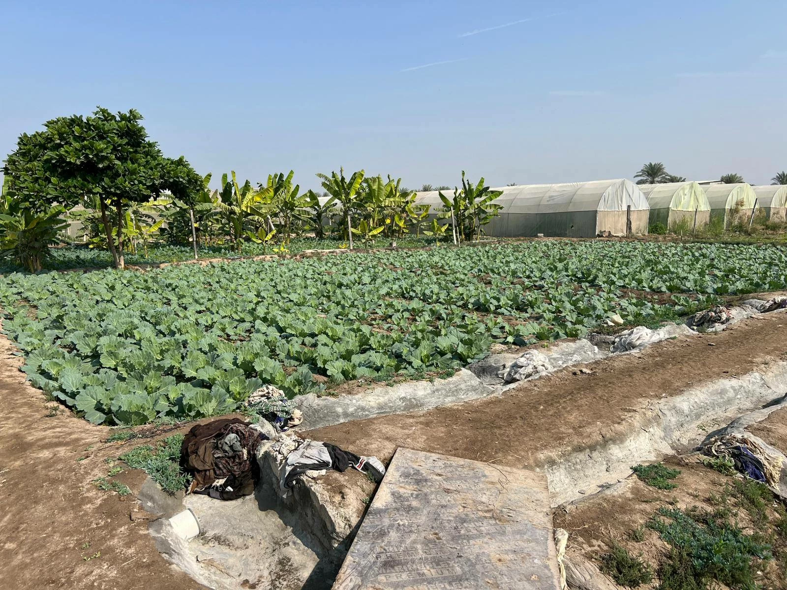 تكريم أربع قرى بحرينية ضمن مبادرة رئيس منظمة الأغذية والزراعة للأمم المتحدة لتكريم القرى الزراعية