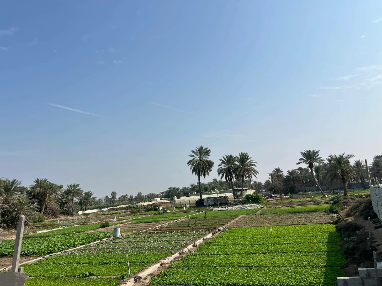 تكريم أربع قرى بحرينية ضمن مبادرة رئيس منظمة الأغذية والزراعة للأمم المتحدة لتكريم القرى الزراعية