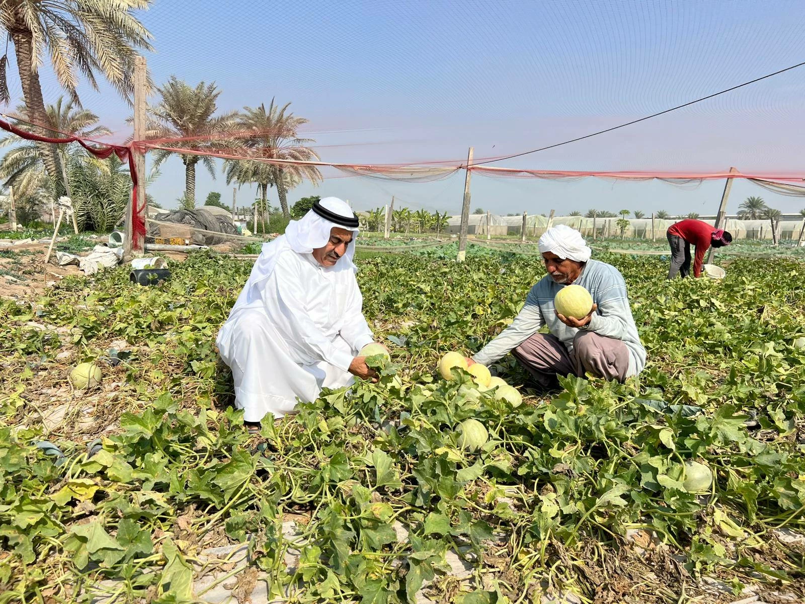 تكريم أربع قرى بحرينية ضمن مبادرة رئيس منظمة الأغذية والزراعة للأمم المتحدة لتكريم القرى الزراعية