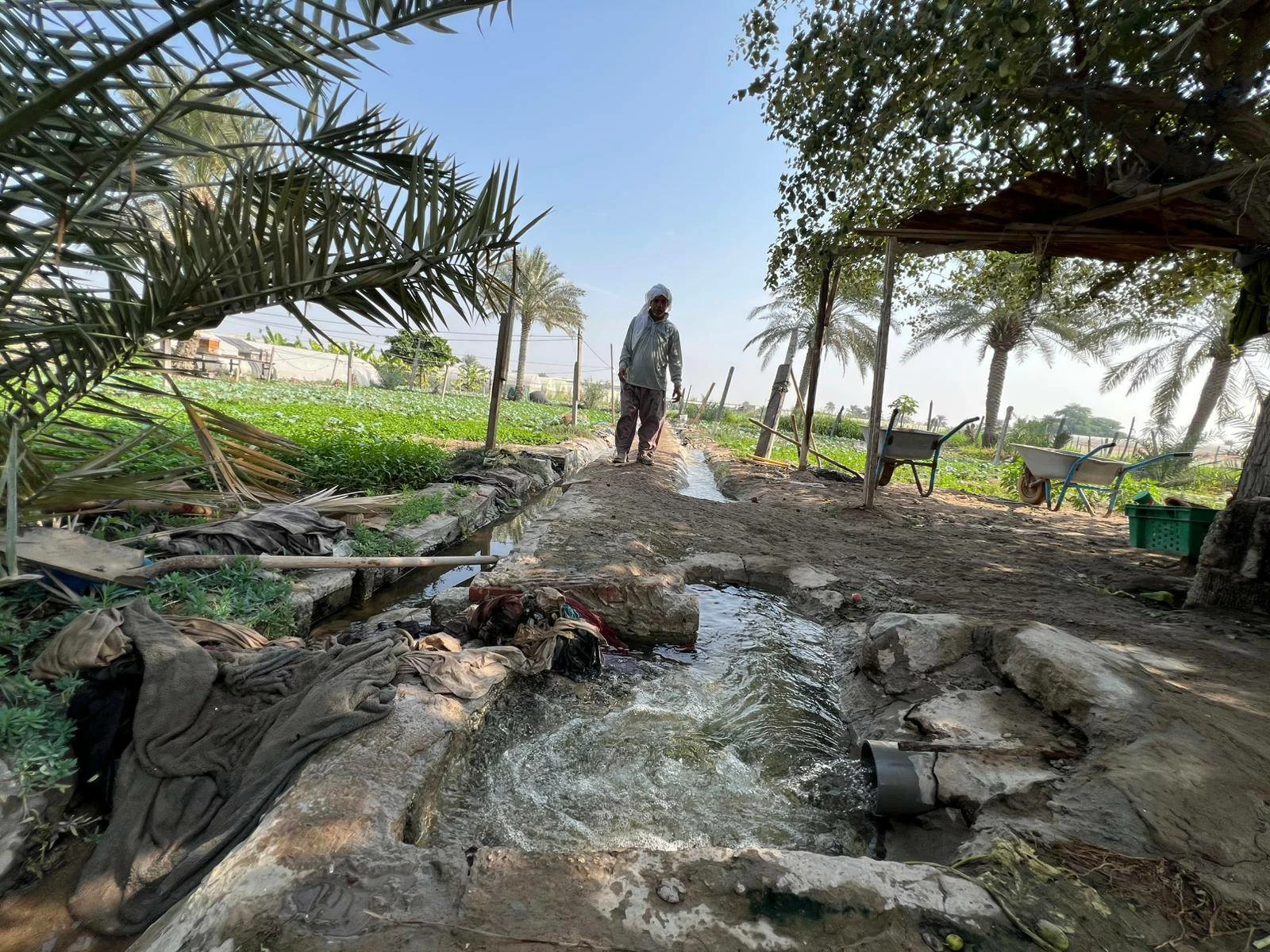 تكريم أربع قرى بحرينية ضمن مبادرة رئيس منظمة الأغذية والزراعة للأمم المتحدة لتكريم القرى الزراعية