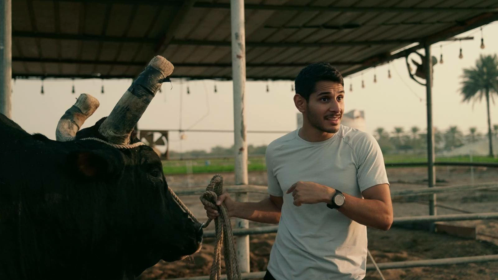 بعد نجاح استثنائي.. أول مرة أشوف يرفع سقف التحدي