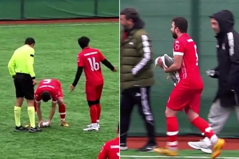 لاعب تركي ينقذ طائر نورس بـ"إنعاش قلبي"