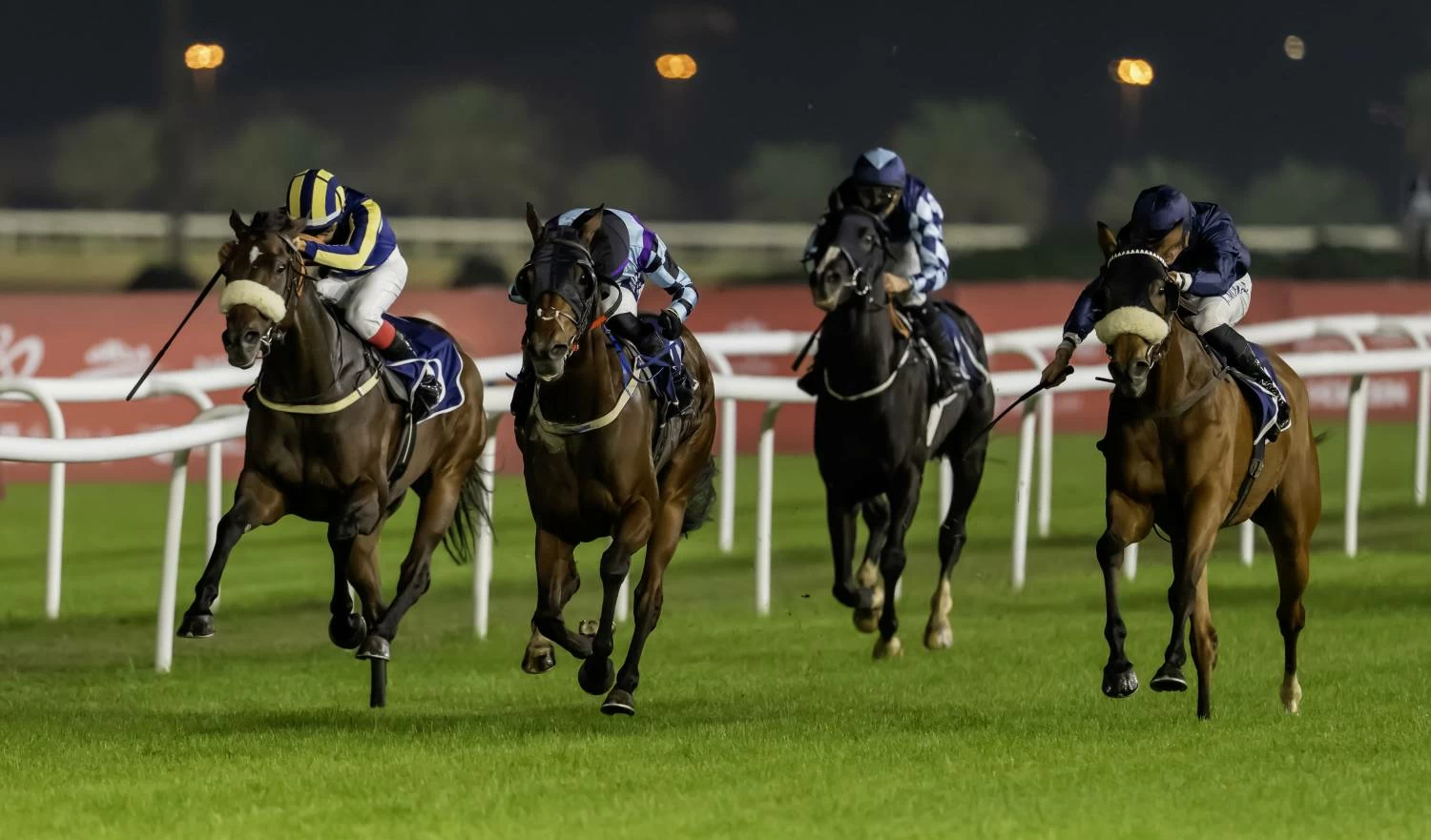 مشاركات كبيرة على كؤوس عبدالله بن حمد وخليفة بن حمد وسلطان بن حمد ومحمد بن سلمان بن حمد وأحمد بن محمد بن سلمان وكأس هيئة رعاية شؤون الخيل