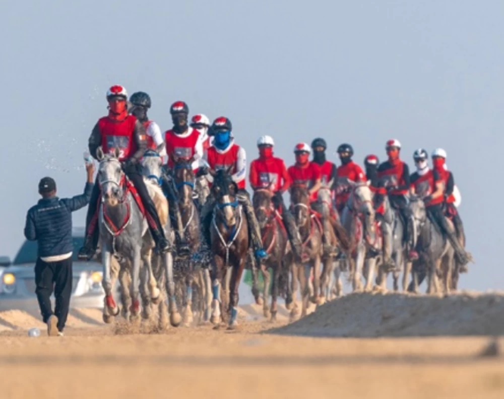 الاتحاد الملكي البحريني للفروسية وسباقات القدرة يستعد لتنظيم السباقات الرمضانية التأهيلية المحلية والدولية