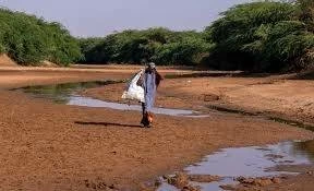 الصومال: 6.5 مليون شخص يواجهون جوعاً حاداً جراء الجفاف