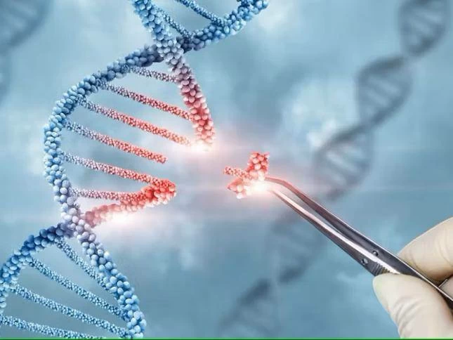 مدبولي: الأمراض النادرة تصيب نحو 300 مليون شخص حول العالم