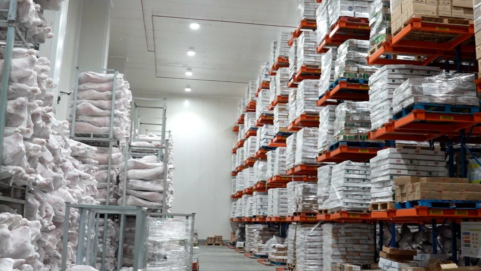 وزير الصناعة يقوم بزيارات تفقدية ويلتقي التجار لمتابعة توافر السلع واستقرار الأسعار