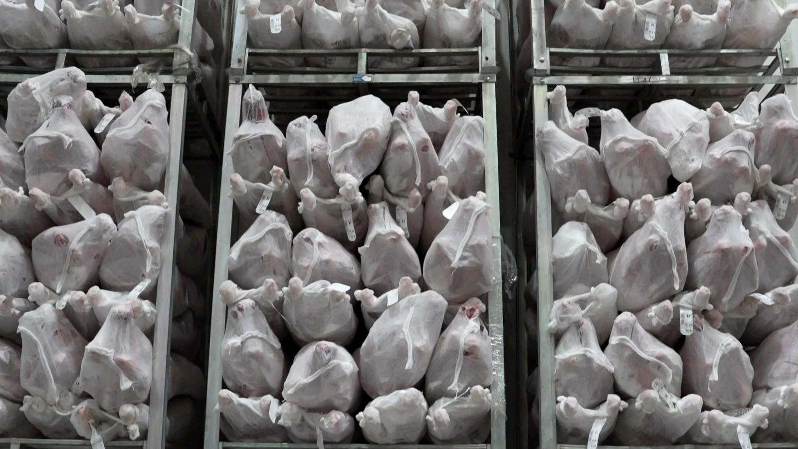 وزير الصناعة يقوم بزيارات تفقدية ويلتقي التجار لمتابعة توافر السلع واستقرار الأسعار