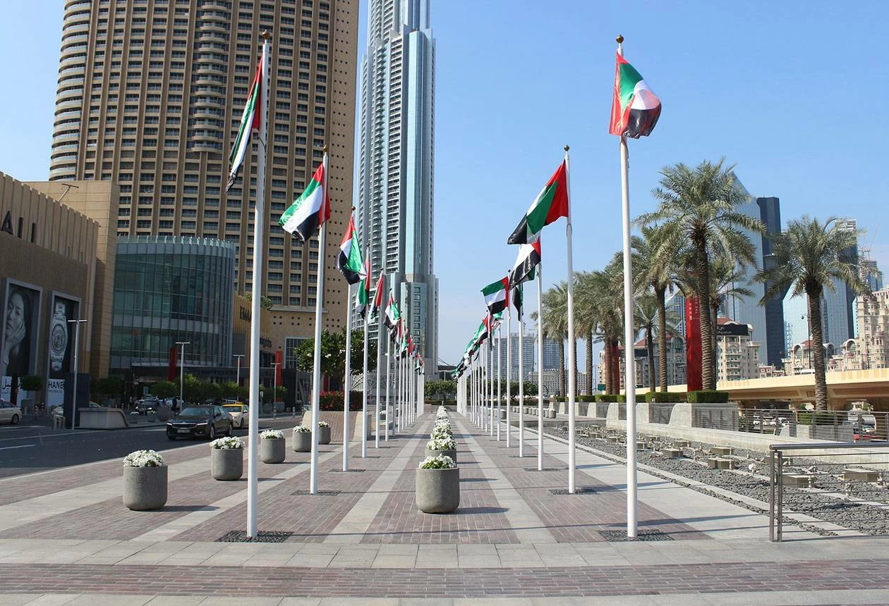 "الدفاع الإماراتية": التعامل مع 9 صواريخ باليستية و109 طائرة مسيّرة