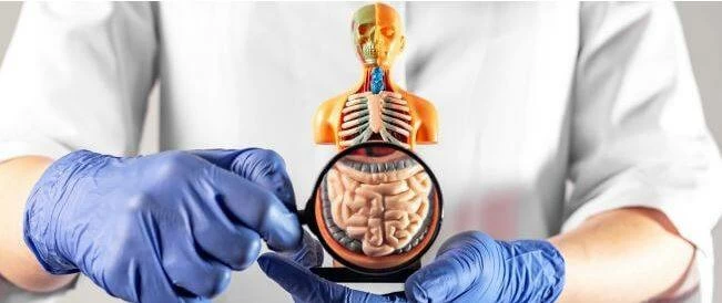 كوثر العيد: الصيام ممنوع في حالات القرحة النشطة والنزيف الهضمي