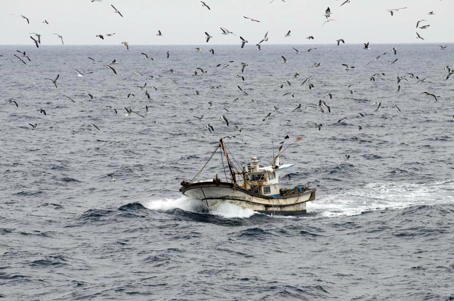 "فوكس نيوز": إيران تنشر زوارق مفخخة في مضيق هرمز