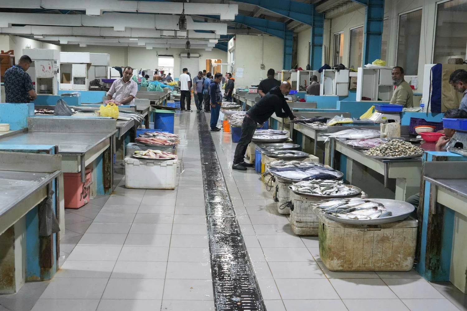 البحرين – توافر الأسماك خلال العيد وارتفاع طفيف في الأسعار