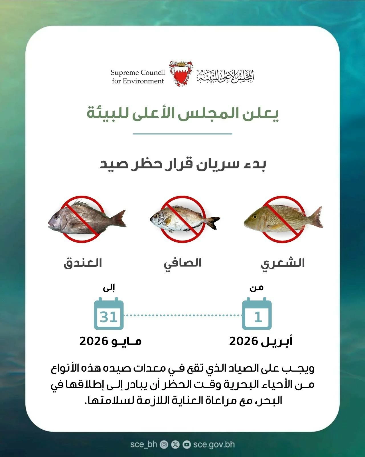 البحرين – المجلس الأعلى للبيئة يعلن دخول قرار منع صيد أسماك الشعري والصافي والعنق حيز التنفيذ