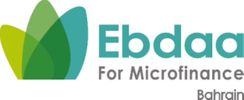 تكليف البروفيسور بدر الدين بمنصب القائم بأعمال الرئيس التنفيذي لشركة quot;الإبداعquot; للتمويل متناهي الصغر 