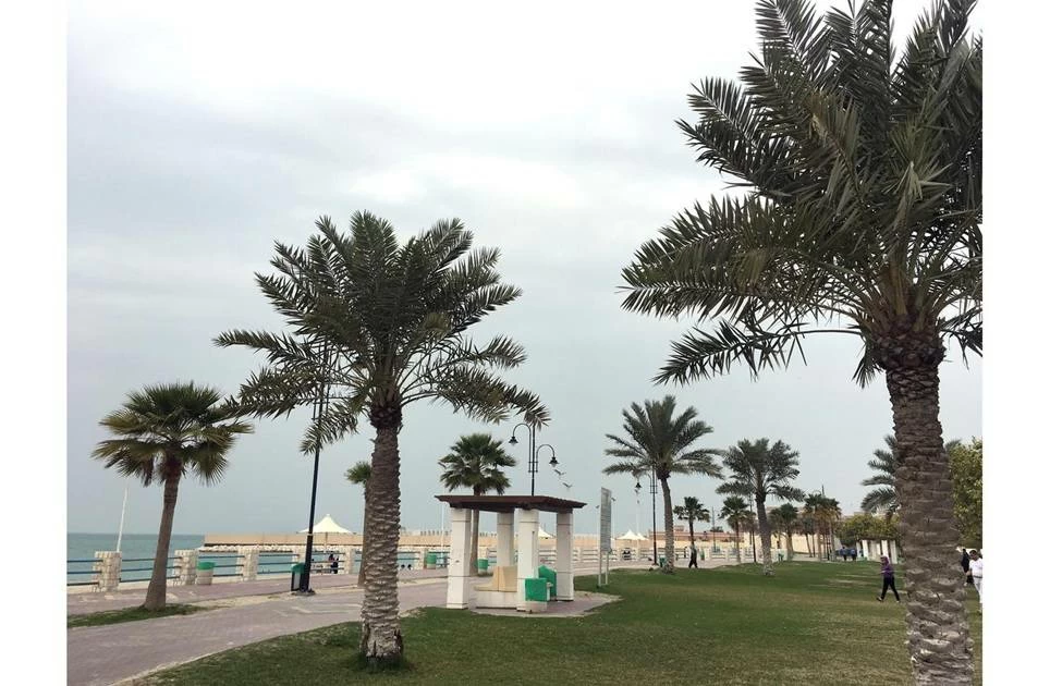 الأرصاد: طقس غائم جزئيًا مع فرصة لتساقط أمطار متفرقة في البحرين 