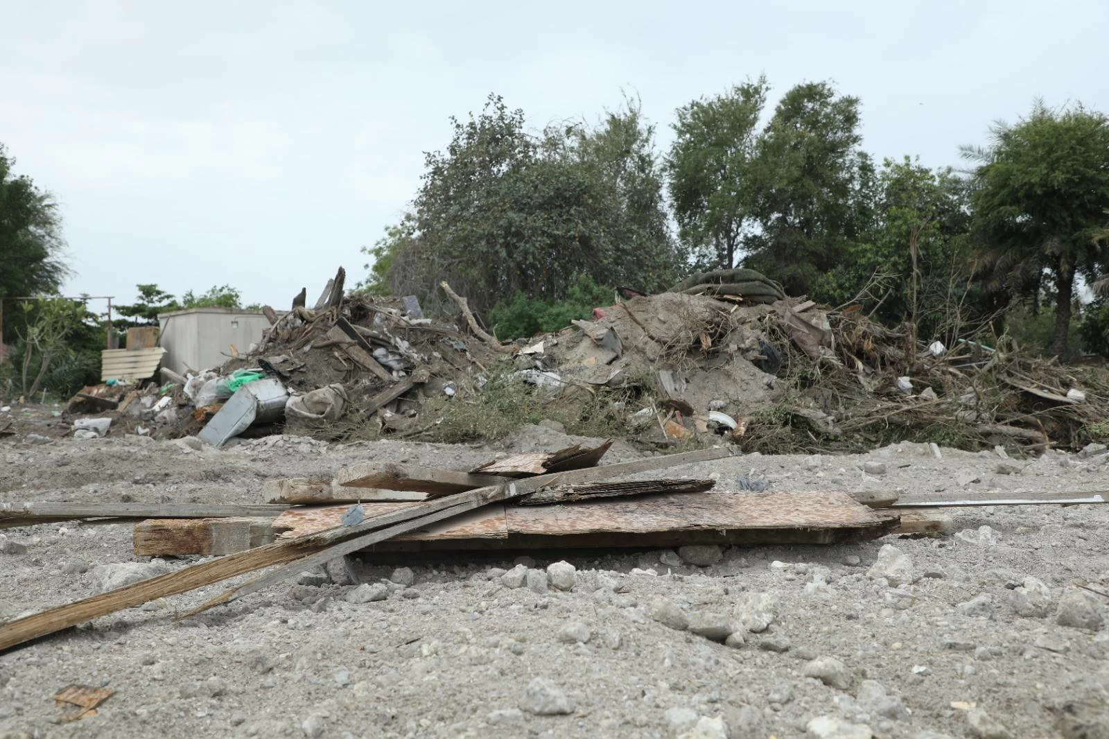 إزالة 28 حظيرة و125 شحنة مخلفات في حملة بلدية الجنوبية بدار كليب 