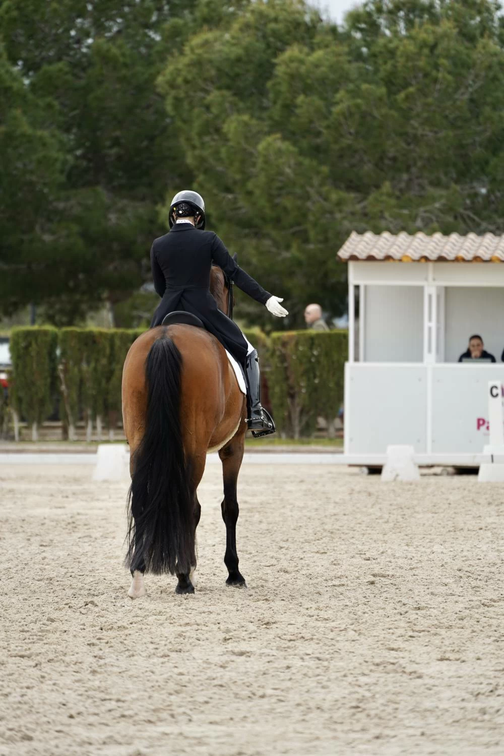 ﻓﺮﻳﻖ اﻟﻔﺮﺳﺎن ﻳﺤﻘﻖ إﻧﺠﺎزاً تاريخياً في رﻳﺎﺿﺔ اﻟﺘﺮوﻳﺾ بإﺳﺒﺎﻧﻴﺎ 