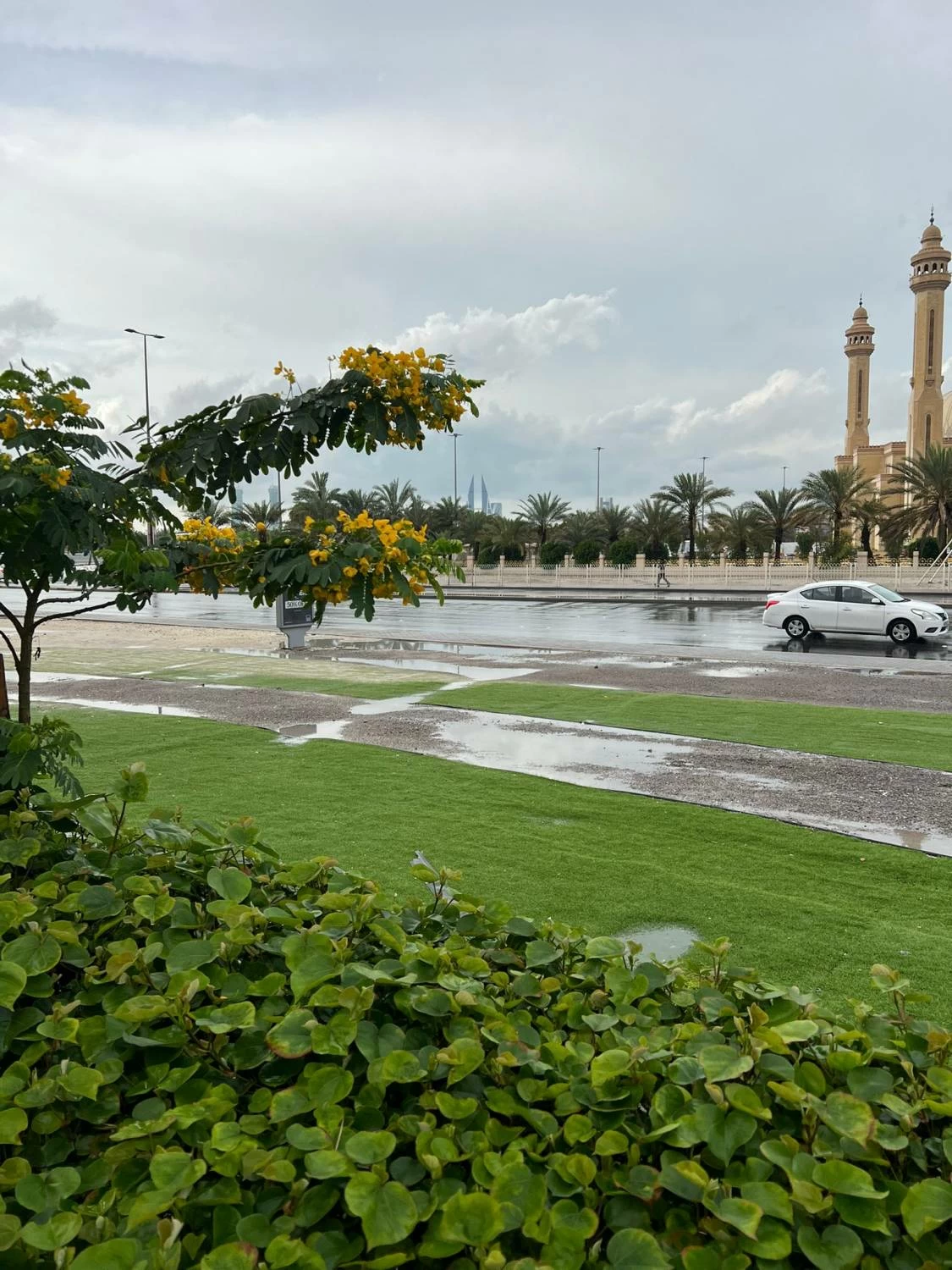 «الأرصاد»: أمطار متفرقة قد تكون رعدية ورياح نشطة اليوم على البحرين 