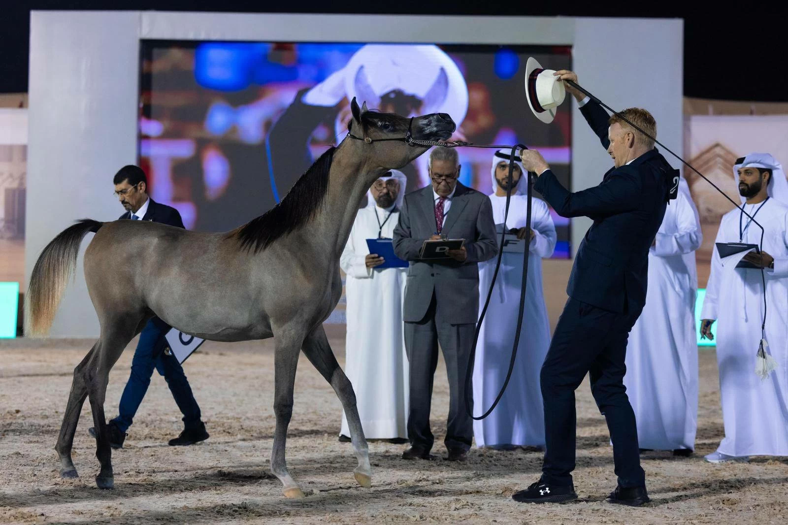 البحرين تحتضن كأس الإمارات العالمي لجمال الخيل العربية 