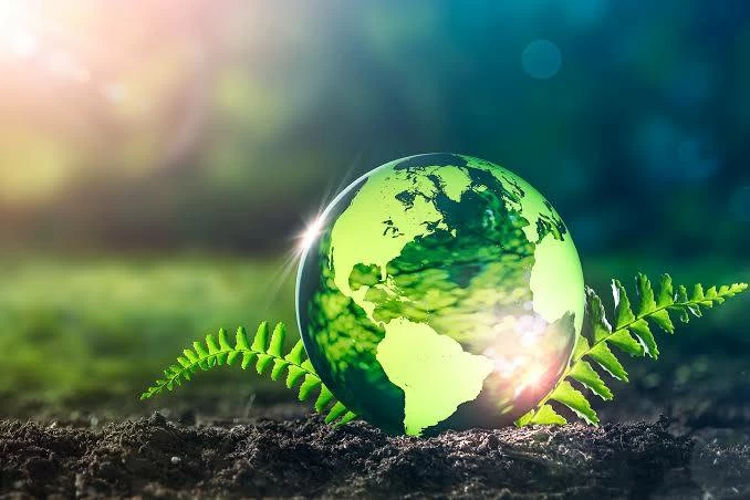 الاستدامة رؤية متكاملة تجمع بين الاقتصاد والبيئة من التشجير إلى الطاقة النظيفة.. هكذا تبني البحرين مستقبلها البيئي 