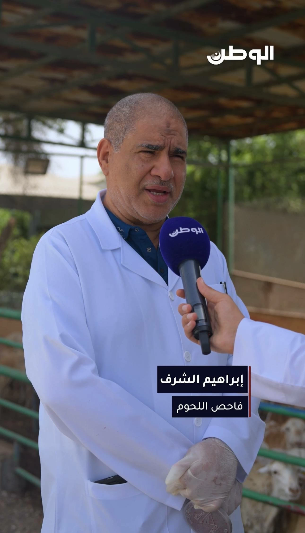 البحرين – ذبح 1166 أضحية بمسلخ الهملة أول أيام عيد الأضحى وفق الاشتراطات الصحية